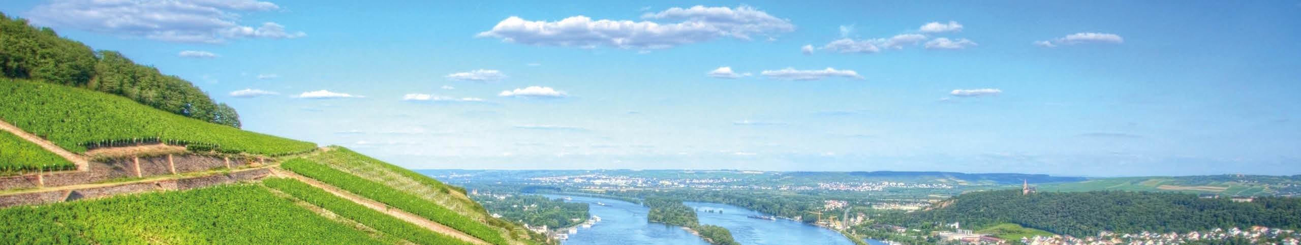 Banner Hessen - Duitsland